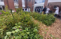 Hénin - Jardin thérapeutique à l'EHPAD
